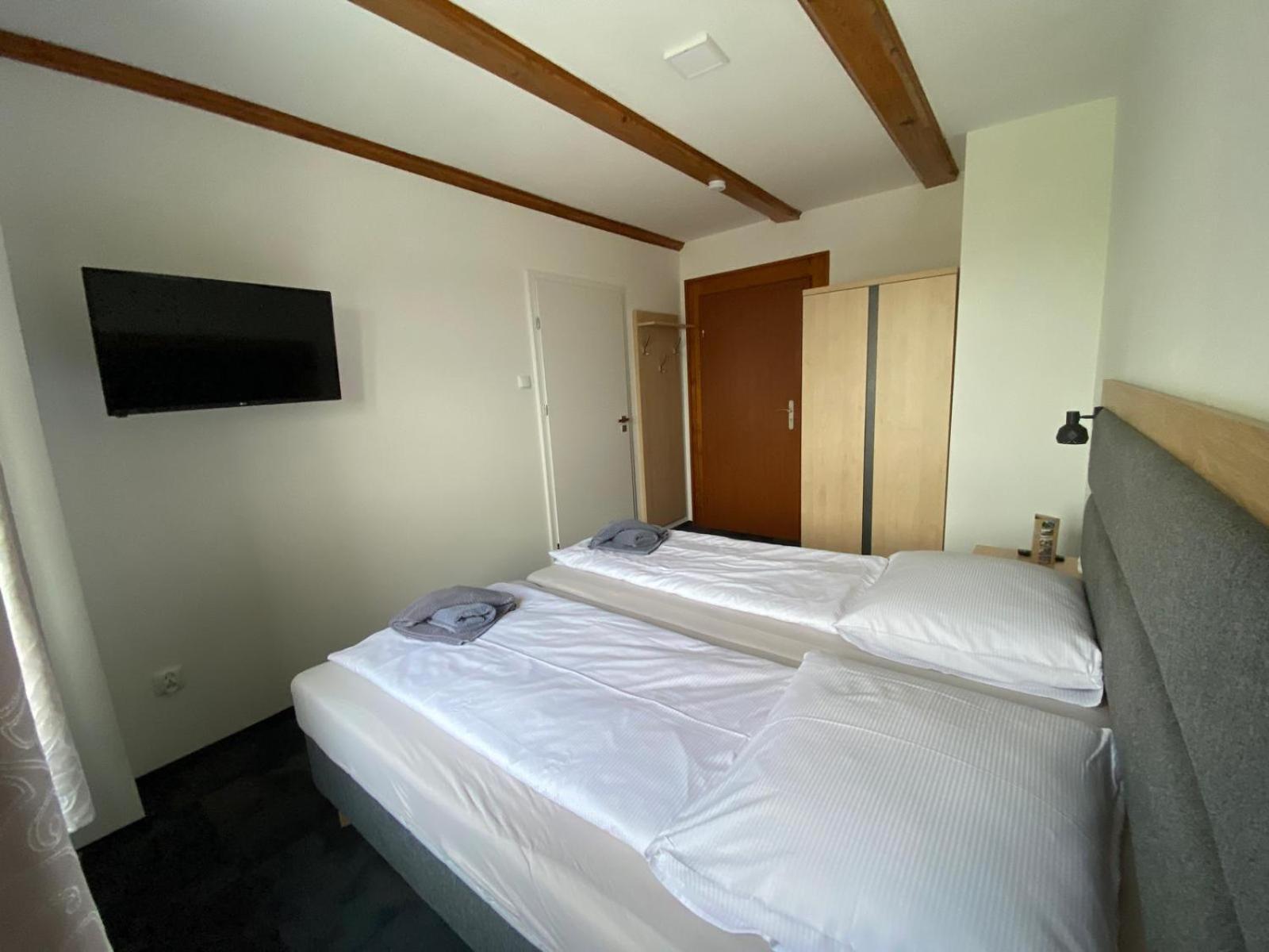 ドゥシュニキ・ズドルイPod Orlicaアパートメント 部屋 写真