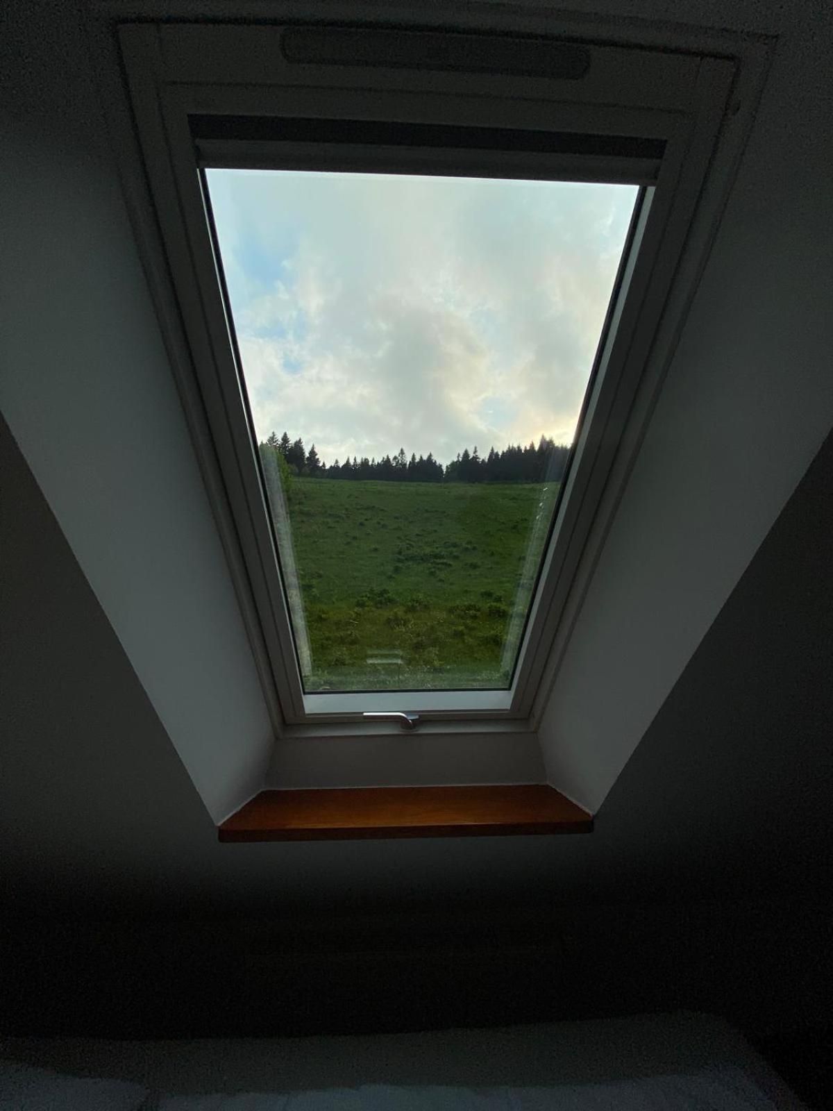 ドゥシュニキ・ズドルイPod Orlicaアパートメント 部屋 写真