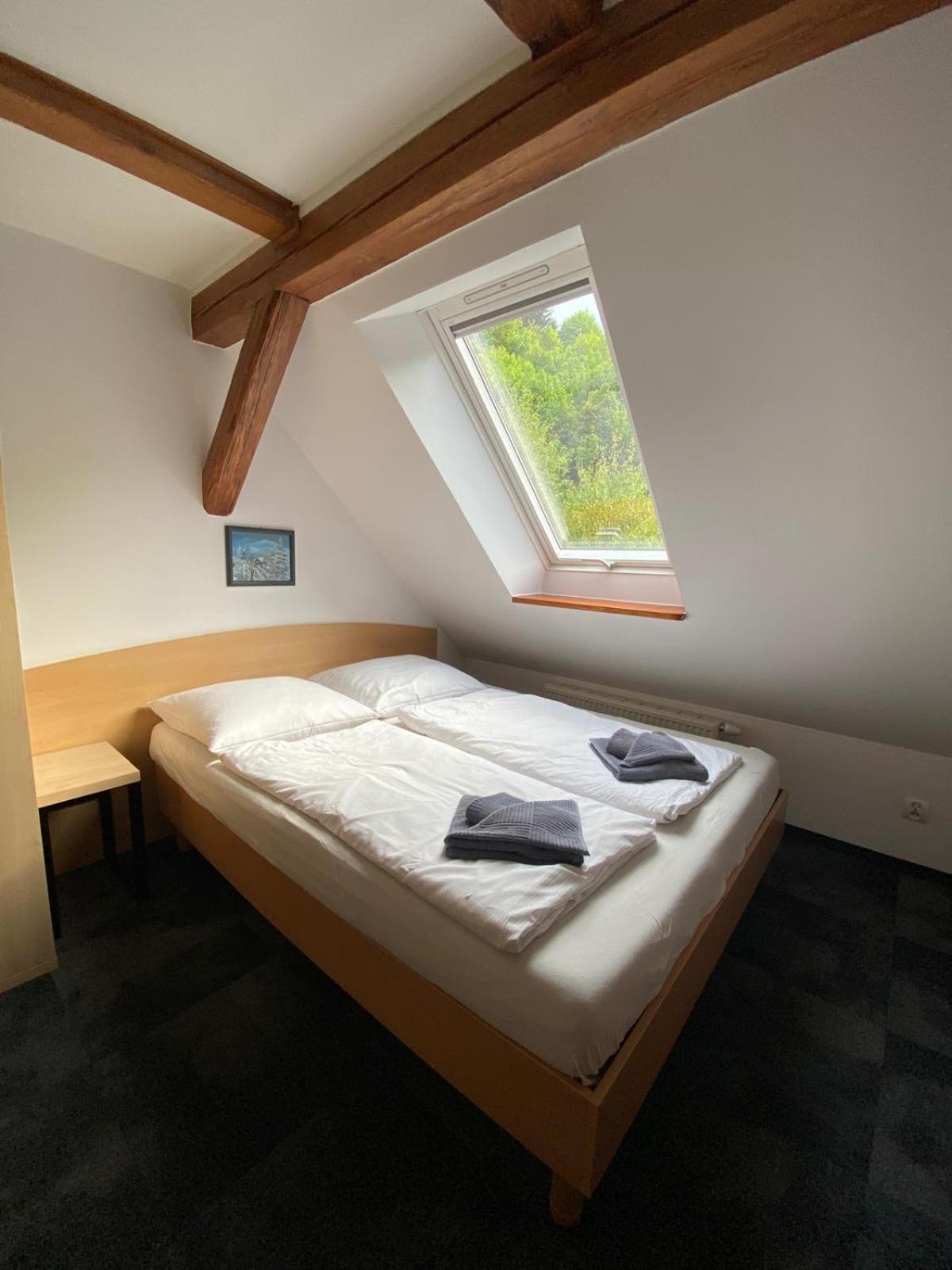 ドゥシュニキ・ズドルイPod Orlicaアパートメント 部屋 写真