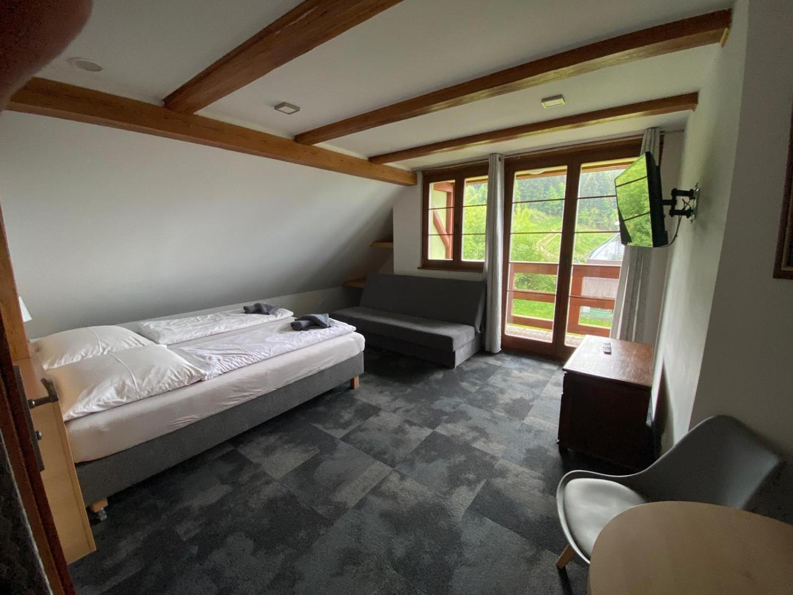 ドゥシュニキ・ズドルイPod Orlicaアパートメント 部屋 写真