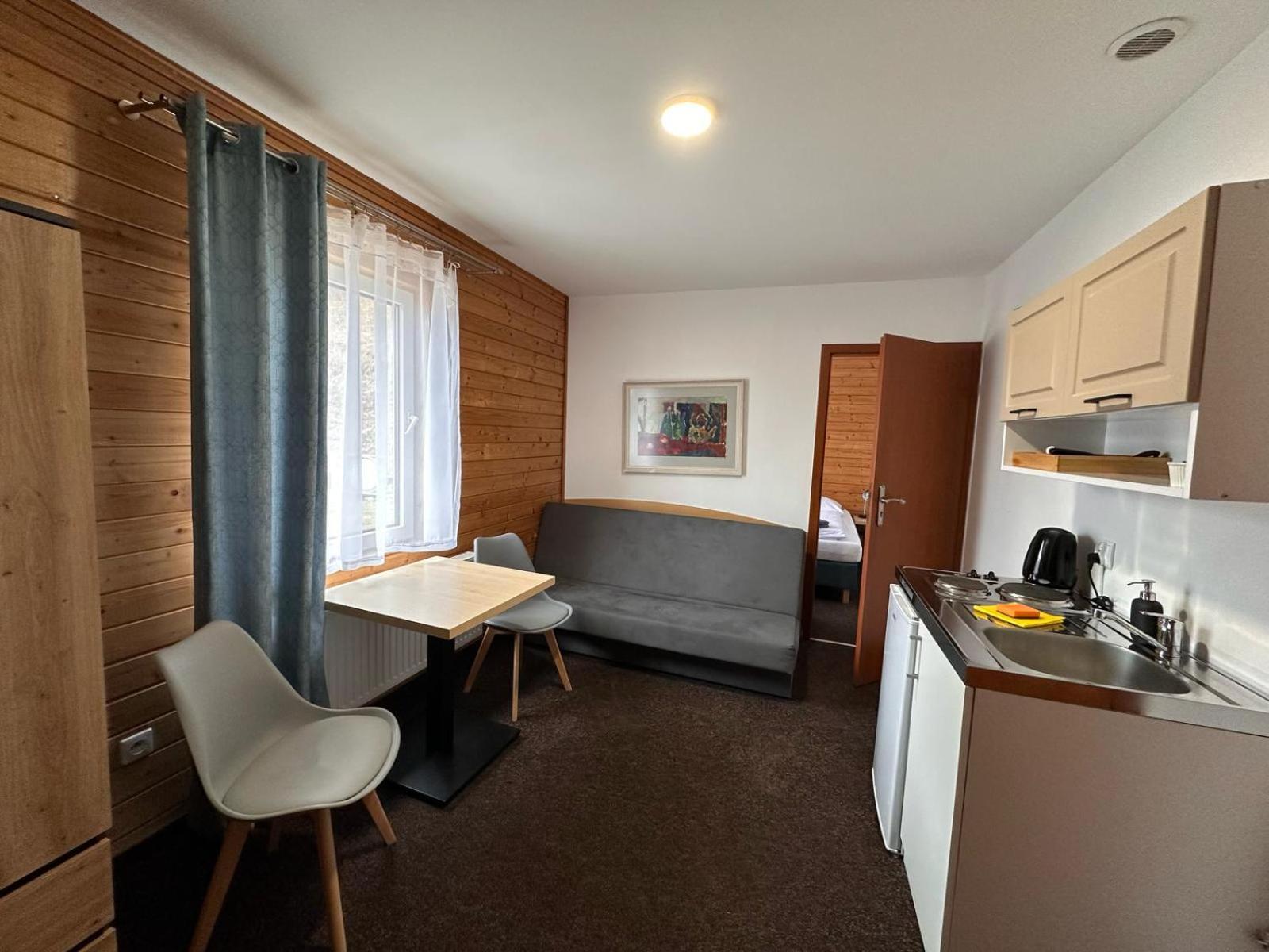 ドゥシュニキ・ズドルイPod Orlicaアパートメント 部屋 写真